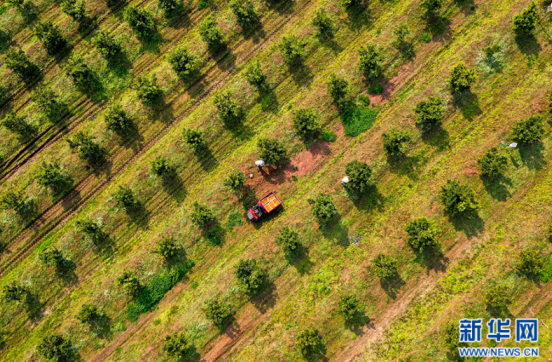 1615355928753079409.png image.png