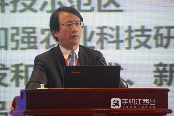 984407550095012625.jpg 1.jpg